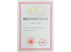 造作业单项冠军造就企业：ng电子游戏海缆